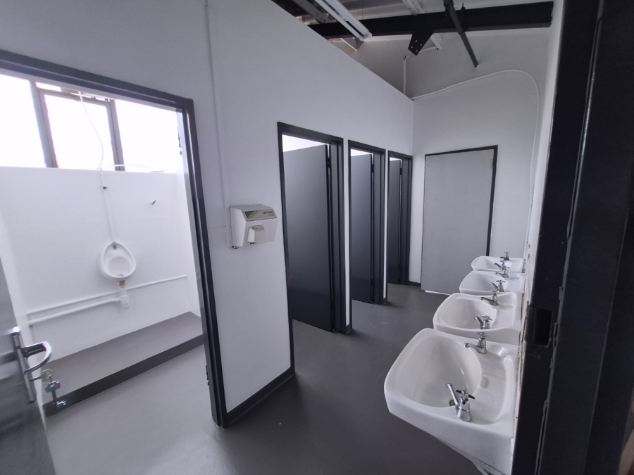 To Let Commercial Property for Rent in Paarden Eiland Western Cape